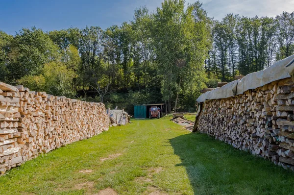 Due pile di tronchi impilati per l'essiccazione — Foto Stock