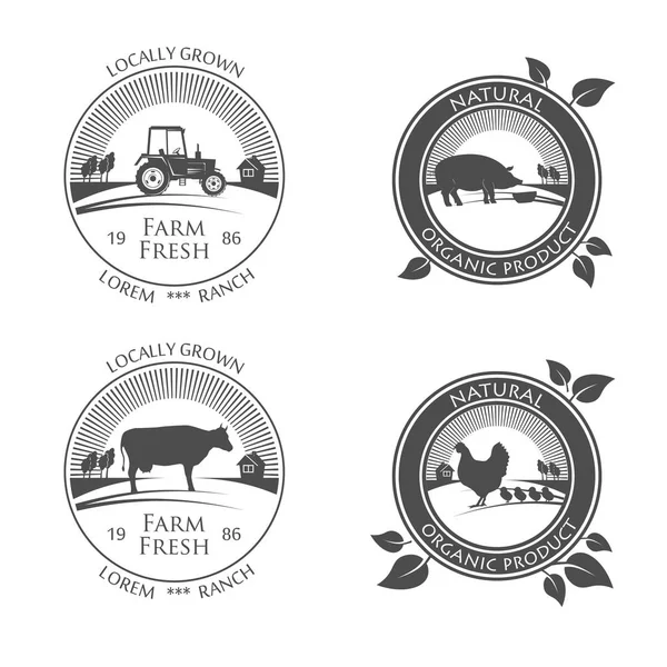 Čerstvé Zemědělské Produkci Ikony Vektorové Logo Obrázkem Farmářského Kuřete Vepřové — Stockový vektor