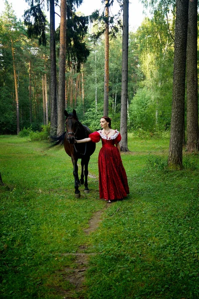 Девушка Старинном Платье Позирует Рядом Лошадью — стоковое фото