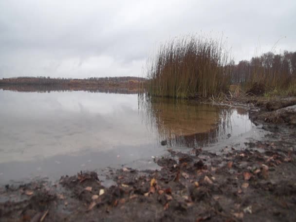 Podzimní Jezero Mlze — Stock video