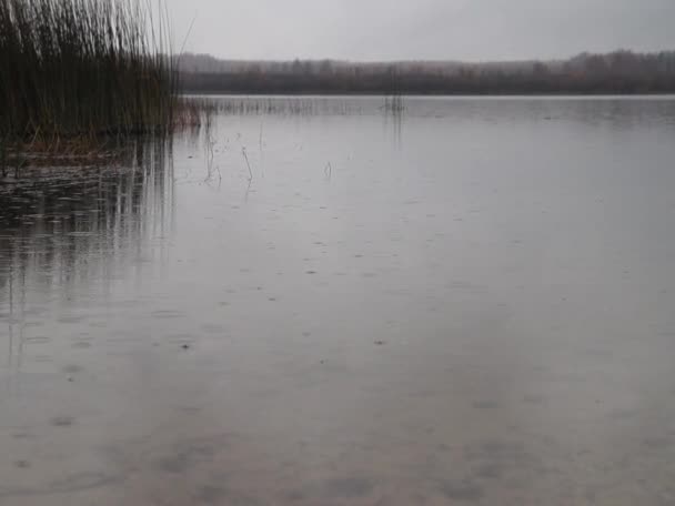 Lago Outono Nevoeiro — Vídeo de Stock