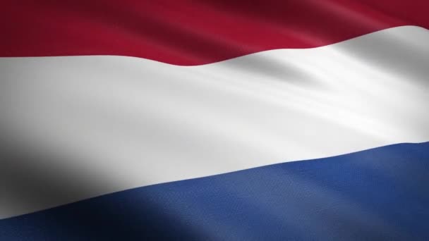 Flagge Der Niederlande Schwenken Flagge Mit Hochdetaillierten Stoff Textur Nahtlos — Stockvideo