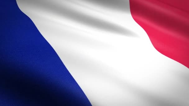 Σημαία Της Γαλλίας Loop Κυματίζει Σημαία Εξαιρετικά Λεπτομερή Υφασμάτινη Υφή — Αρχείο Βίντεο
