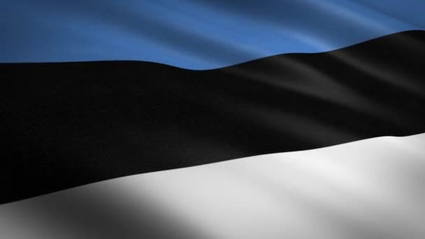 Estonia Flag Closeup Loop Flagge Schwenken Mit Hochdetailliertem Nahtlosem Video — Stockvideo