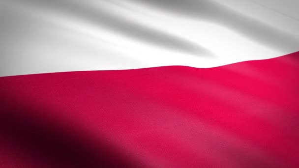 Bandera Polonia Bandera Ondeante Con Textura Tela Altamente Detallada Video — Vídeo de stock