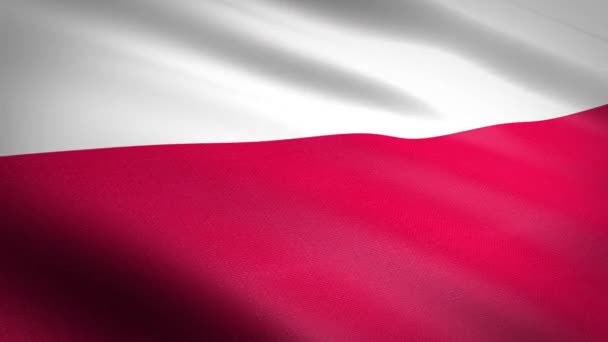 Drapeau Pologne Drapeau Ondulé Avec Une Texture Tissu Très Détaillée — Video