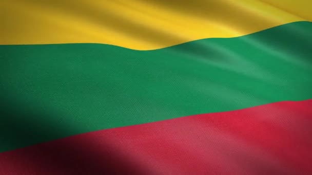 Σημαία Της Λιθουανίας Κυματίζει Σημαία Εξαιρετικά Λεπτομερή Υφή Υφάσματος Αδιάλειπτη — Αρχείο Βίντεο