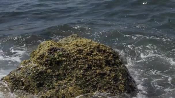 Морские волны давят на скалистый берег — стоковое видео