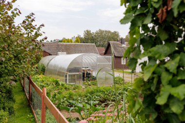 Arka bahçesinde plastik halka serası, kırsal binaları ve ağaçları olan bir sebze bahçesi..
