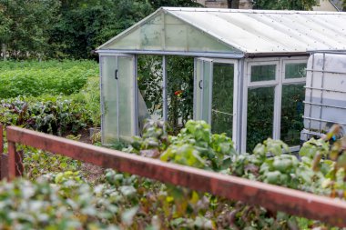 Küçük, şeffaf bir sera yemyeşil bitkiler ve büyük beyaz bir su tankıyla dolu yemyeşil bir bahçede duruyor..
