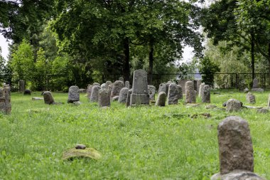  Önünde yeşil bir tarla olan küçük bir tepenin sakin manzarası ve bulutlu bir gökyüzünün altında yoğun bir orman..