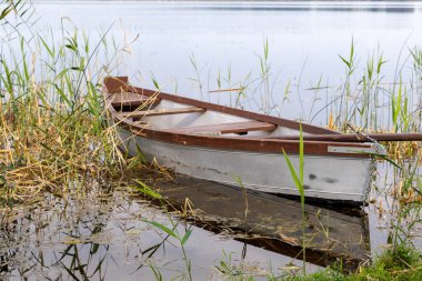 Sade bir gümüş ve ahşap tekne sakin bir günde sakin bir gölün kenarında uzun kamışların arasında süzülür..