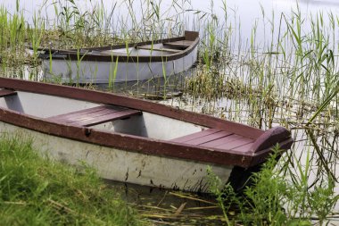 İki basit, yıpranmış tekne durgun bir gölün kenarında uzun kamışların arasında oturur, sükunet ve yalnızlık hissini taşırlar..