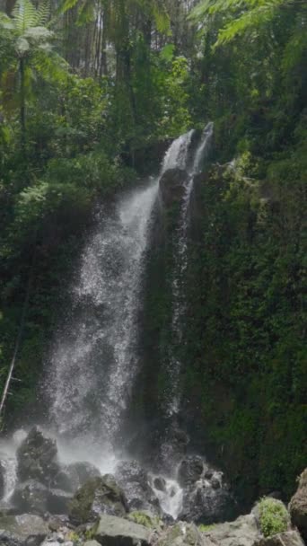 Den Orörda Och Vackra Grenjengan Twin Waterfall Ligger Mitt Vildmarken — Stockvideo