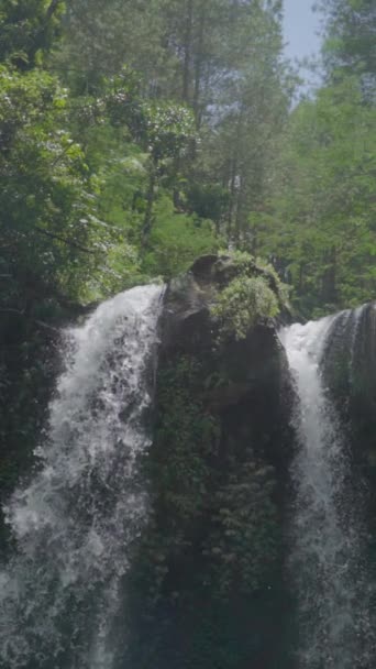Virgen Hermosa Cascada Grenjengan Twin Encuentra Medio Naturaleza Del Parque — Vídeo de stock