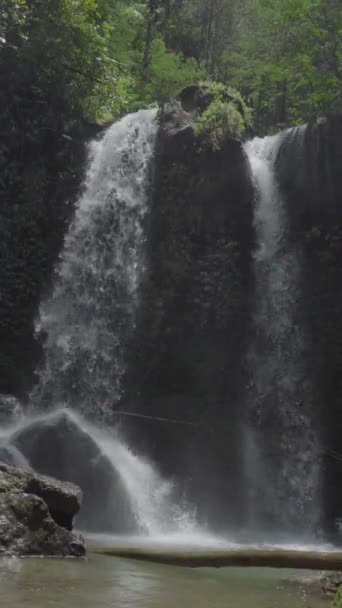Ongerepte Prachtige Grenjengan Twin Watervallen Zijn Gelegen Wildernis Van Mount — Stockvideo
