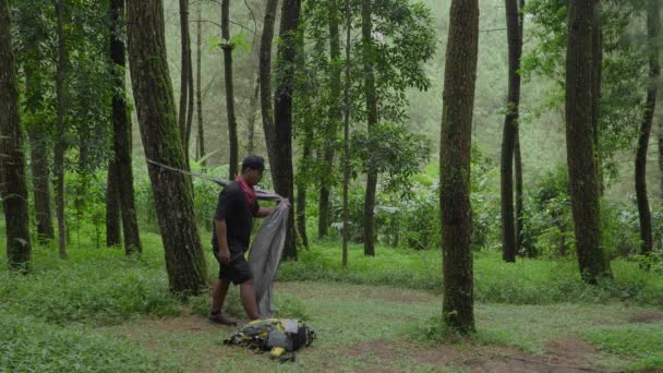 Merapikan Dan Menikmati Suasana Alam Yang Indah Hutan Pinus Dengan — Stok Video