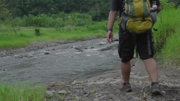 Genç Asyalı Adam Ormanın Ortasında Tek Başına Yürüyor Yemyeşil Ağaçları — Stok video