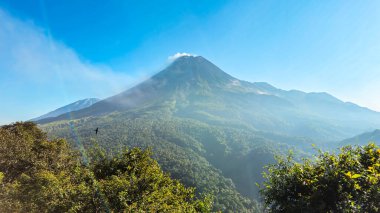 Sabah Merapi Dağı manzarası ve önü yemyeşil bir orman. Açık bir sabahta Merapi Dağı 'nın panoramik güzelliği belli bir mesafeden görülebiliyor..