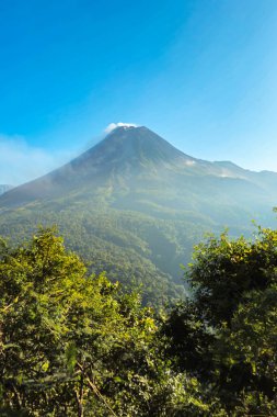 Sabah Merapi Dağı manzarası ve önü yemyeşil bir orman. Açık bir sabahta Merapi Dağı 'nın panoramik güzelliği belli bir mesafeden görülebiliyor..