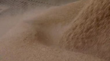 Teknoloji üretim çekirdek