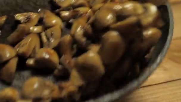 Stirring fried mushrooms in a pan close-up — Stock Video