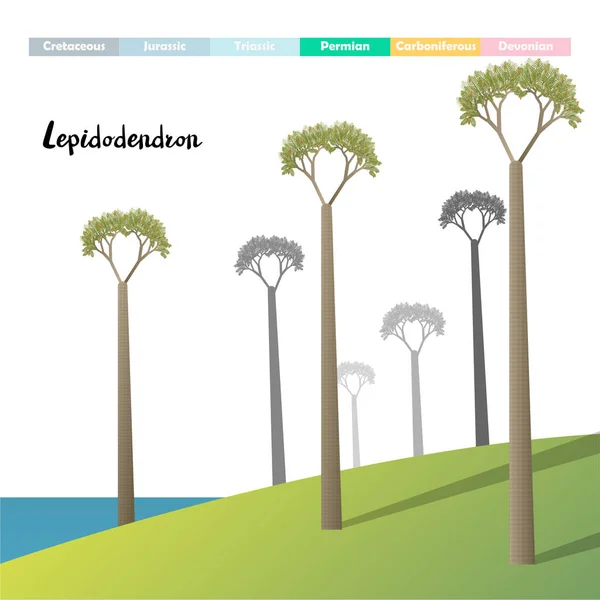 Lepidodendron Plantes Géantes Préhistorique — Image vectorielle