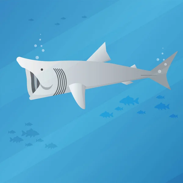 ปลาฉลามยักษ์ — ภาพเวกเตอร์สต็อก