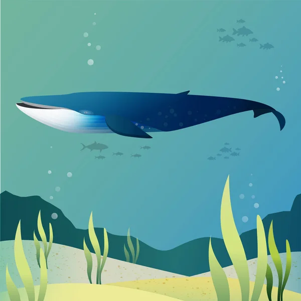 Kék Bálna Óceán Vektor Illusztráció Stílusban — Stock Vector
