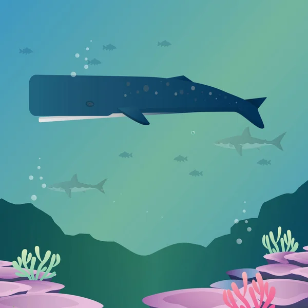 Mořský Savec Velryb Stylu Oceánského Vektoru — Stockový vektor