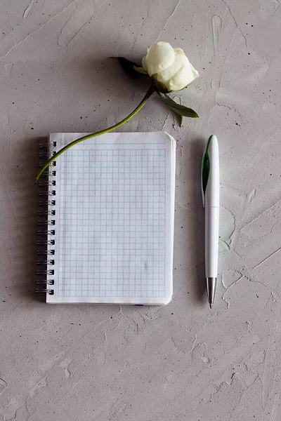 notebook, flower and pen on a gray surface