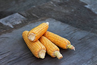 Tahta bir masada olgun mısır koçanları hasat ediyorlar.