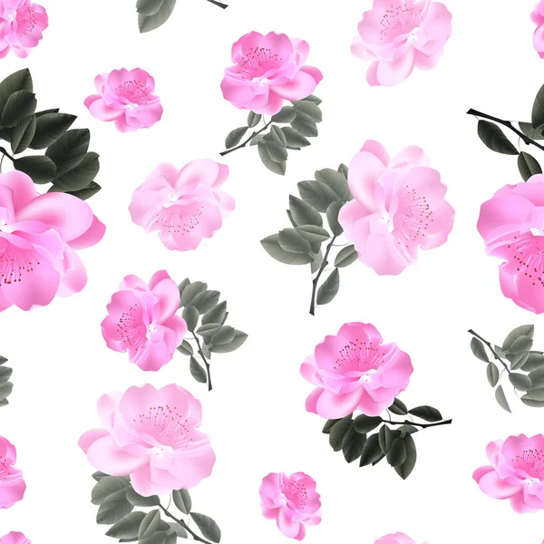 Floral Pattern Seamless Vector Stock — Stock Photo, Image