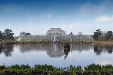 Londra, İngiltere - Nisan 2018: Palm House, Bahçe Kew, İngiltere'de bulunan dünya, tropikal bölgelerinden tropikal bitki yaşam eşsiz koleksiyon sergisi için bir yağmur ormanı iklim yeniden oluşturur bir ikonik Victoria glasshouse
