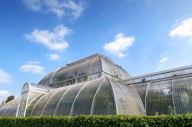 Londra, İngiltere - Nisan 2018: Palm House, Bahçe Kew, İngiltere'de bulunan dünya, tropikal bölgelerinden tropikal bitki yaşam eşsiz koleksiyon sergisi için bir yağmur ormanı iklim yeniden oluşturur bir ikonik Victoria glasshouse