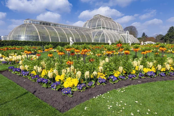 Londres Reino Unido Abril 2018 Palm House Uma Icónica Estufa — Fotografia de Stock