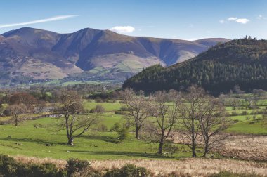 İngiltere Lake District, İngiltere'de bir koyun çiftliğinde doğal kırsal manzara