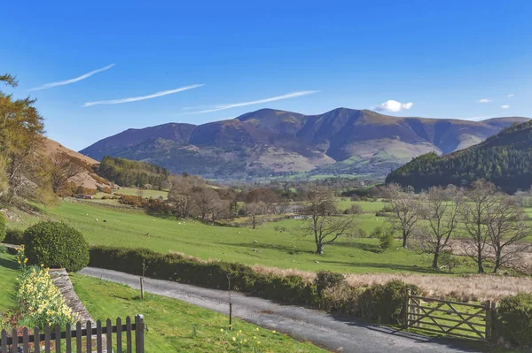 İngiltere Lake District, İngiltere'de bir koyun çiftliğinde doğal kırsal manzara