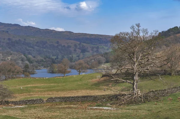 Natursköna Landsbygd Landskap Fårfarm Lake District England Storbritannien — Stockfoto