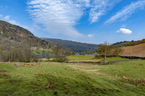 İngiltere Lake District, İngiltere'de bir koyun çiftliğinde doğal kırsal manzara