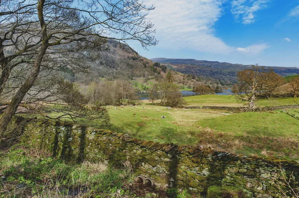 İngiltere Lake District, İngiltere'de bir koyun çiftliğinde doğal kırsal manzara