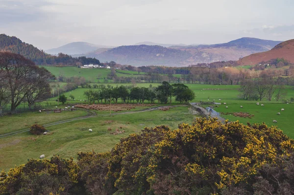 İngiltere Lake District, İngiltere'de bir koyun çiftliğinde doğal kırsal manzara