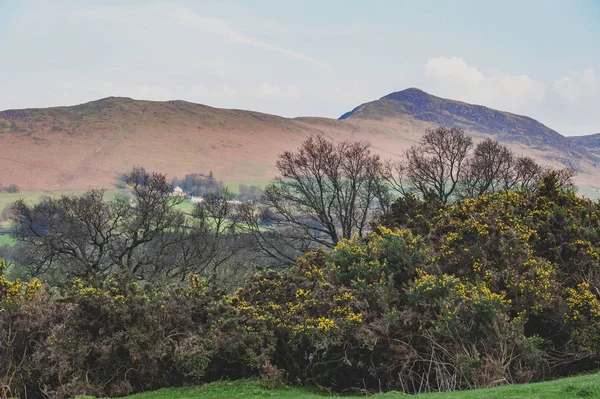 Malerische Landschaft Auf Einer Schaffarm Lake District England Vereinigtes Königreich — Stockfoto