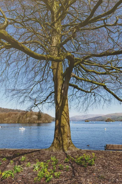 Güney Lakeland, İngiltere - Nisan 2018: Güzel Bowness Windermere Bowness-on-Windermere, Lake District, İngiltere'de bir küçük turistik tatil beldesi, bankadan gördün mü Bay
