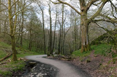 Beyaz Moss yürür, doğal orman rekreasyon alanı tarafından nehir Rothay Ambleside, göl İlçe Milli parkta Güney Lakeland, İngiltere 