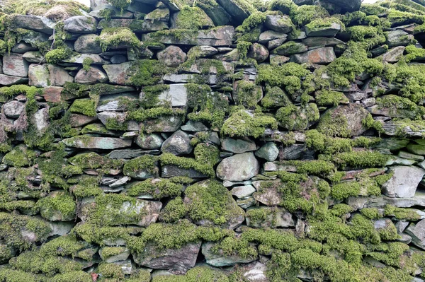 Шаблон Текстура Фона Старой Каменной Стены Покрыты Сгустками Зеленого Мха — стоковое фото