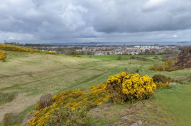Arthur Seat kadar çimenli yamaçları üzerinden bir dağcılık rota, Holyrood Park, İskoçya, İngiltere Edinburgh en yüksek noktasında yer alan