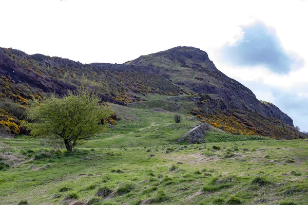 Arthur Seat kadar çimenli yamaçları üzerinden bir dağcılık rota, Holyrood Park, İskoçya, İngiltere Edinburgh en yüksek noktasında yer alan