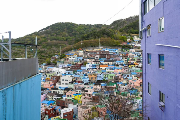 Γραφικό τοπίο του πολιτιστικού χωριού Gamcheon, πολύχρωμο και καλλιτεχνικό τουριστικό αξιοθέατο με φωτεινά βαμμένα σπίτια σε πλαγιά παραλιακού βουνού στην περιοχή Saha, Μπουσάν, Νότια Κορέα — Φωτογραφία Αρχείου