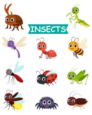 Böcek çizgi film karakteri koleksiyonları, sevimli kelebek, karınca, sinek, böcek, arı, örümcek, uğur böceği, tırtıl, solucan, salyangoz